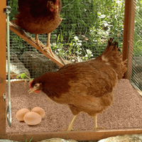 Coussins de Nidification pour Poulailler