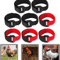 Jardioui 10 Colliers (2.90 €/ pcs) / Rouge Collier Anti-Cri Réglable pour Poulets