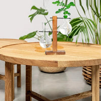 Jardioui 2 Vases Vase à Ampoules Hydroponique Élégant