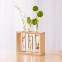 Jardioui 3 Tubes / Beige Vase à Tube Hydroponiques Esthétique