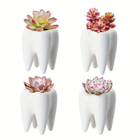 Jardioui 3 Vases + 1 offert (14.90€/pc) Vase Dentaire Polyvalent en Céramique