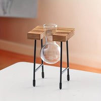Jardioui B Pot de fleur vintage pour terrarium hydroponique