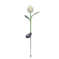 Jardioui Blanc Lampe Solaire Premium Chrysanthème