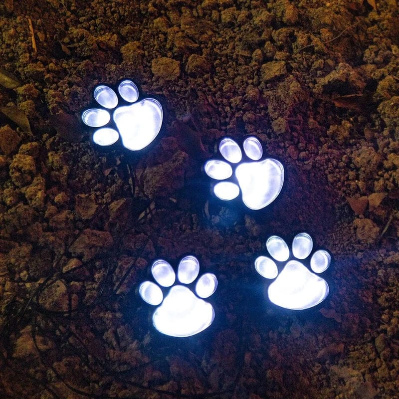 Jardioui Blanche Lumières Solaires Pattes Multicolores