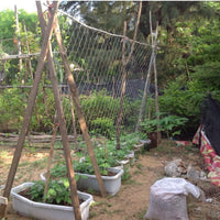 Filet de Soutien Premium pour Plantes Grimpantes