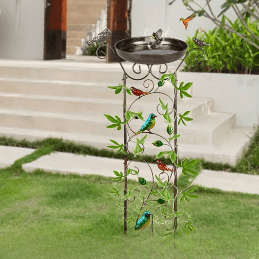 Baignoire pour Oiseaux Originale Montable