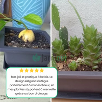 Jardinière Rectangulaire Élégante