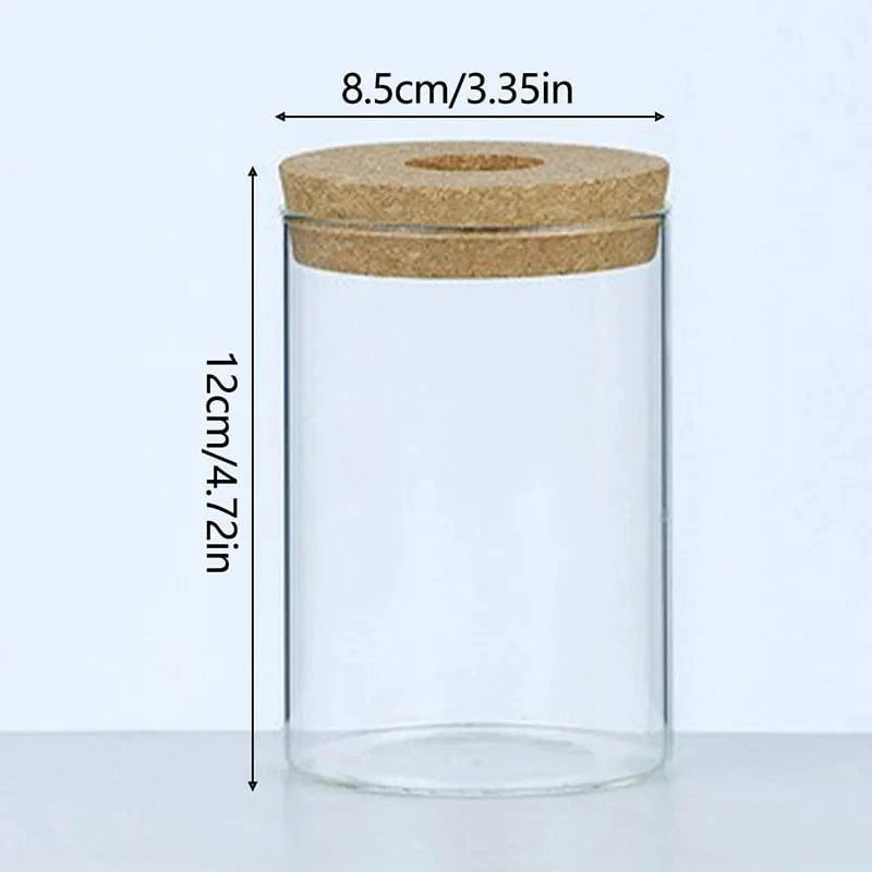 Jardioui L Pot de fleur hydroponique innovant
