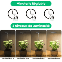 Lampe de Croissance LED d'Intérieur (Lot de 2+1 Offerte)