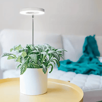 Lampe de Croissance LED d'Intérieur (Lot de 2+1 Offerte)