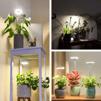 Lampe de Croissance LED d'Intérieur (Lot de 2+1 Offerte)