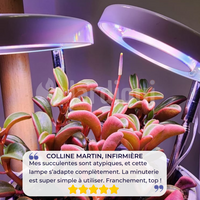 Lampe de Croissance LED d'Intérieur (Lot de 2+1 Offerte)