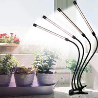 Lampe de Croissance Performante pour Plantes d'Intérieur