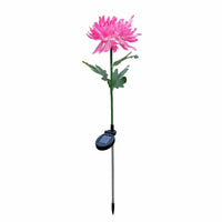 Lampe Solaire Chrysanthème Éclatante