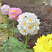 Lampe Solaire Fleur Extérieur Chrysanthème