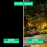 Lampes LED Lucioles à Énergie Solaire - Offre Spéciale