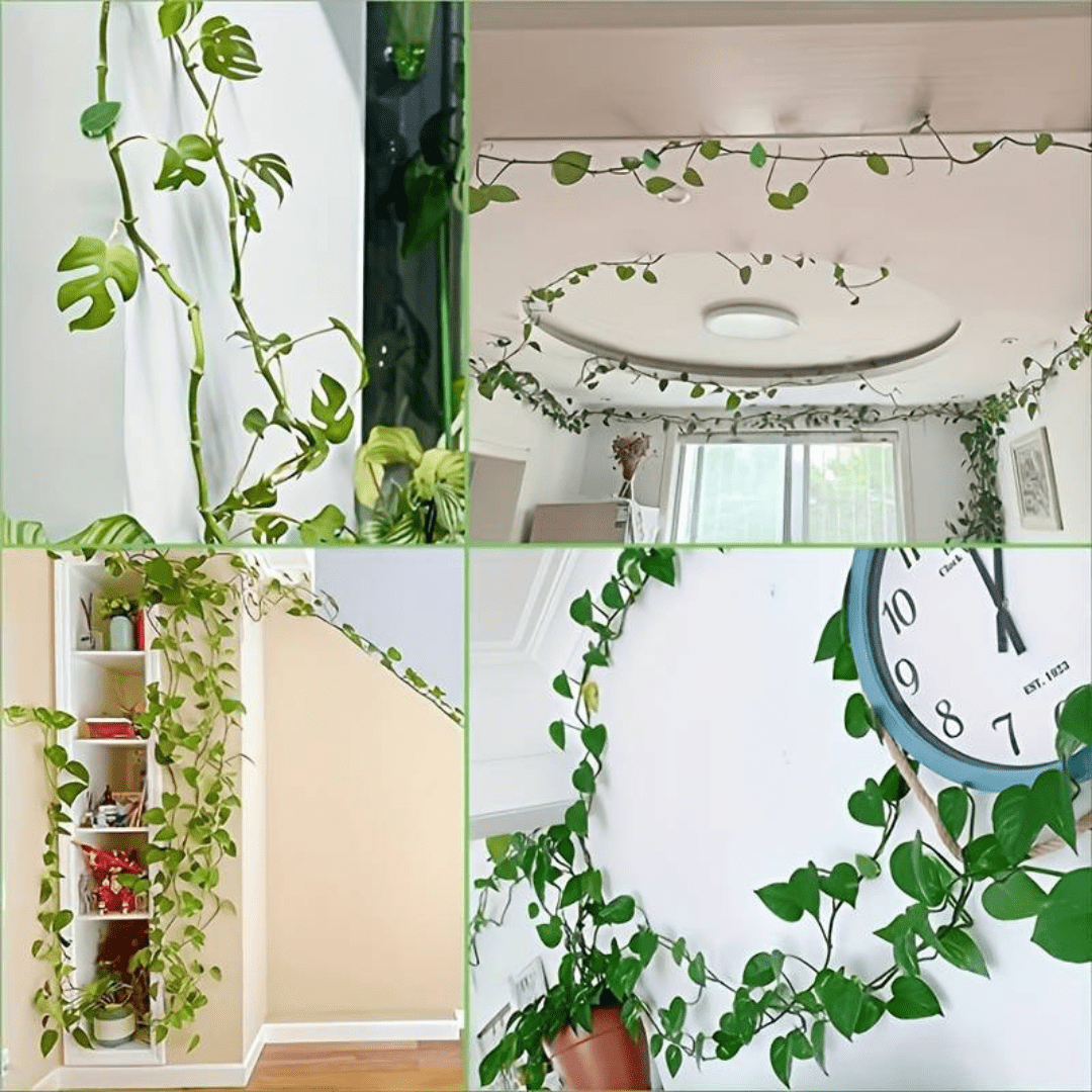 Supports Muraux Décoratifs pour Plantes