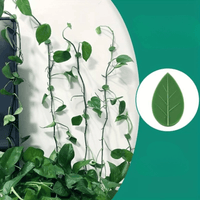 Supports Muraux Décoratifs pour Plantes