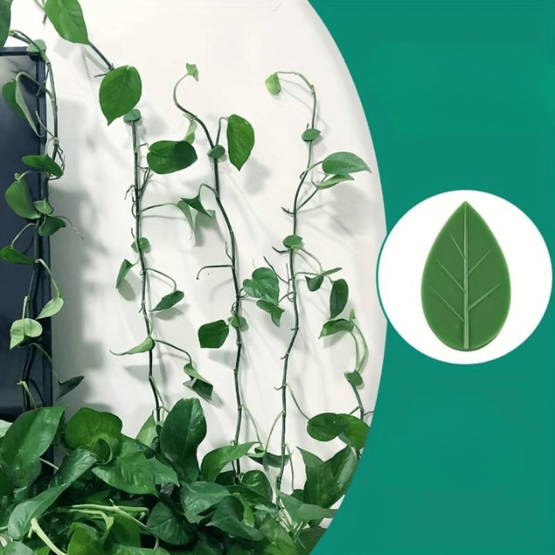 Supports Muraux Décoratifs pour Plantes