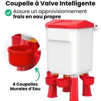 Mangeoire et Abreuvoir Poule Automatique