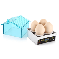 Mini Incubateur d'Œufs Automatique Performant