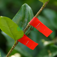 Pince à palisser - Attache branche Révolutionnaire