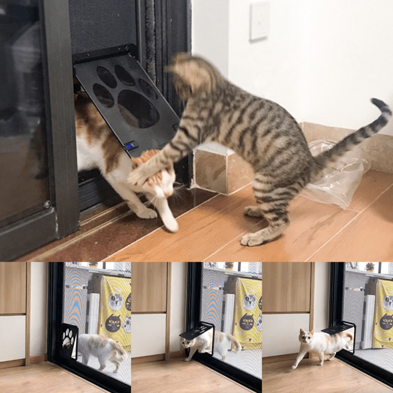 Trappe de Moustiquaire Magnétique Sécurisée pour Animaux