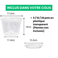 Pots de Culture Transparents Aérés Premium