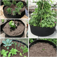 Sac de culture pour plantes domestiques