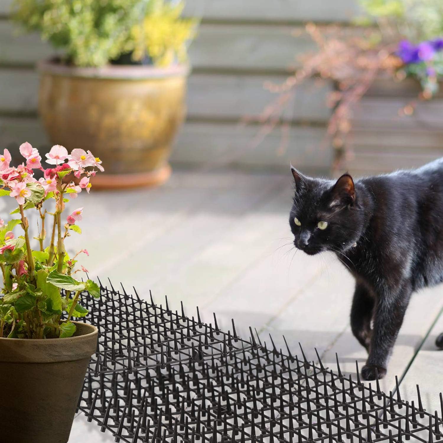 Tapis Protecteur Doux et Respectueux des Animaux