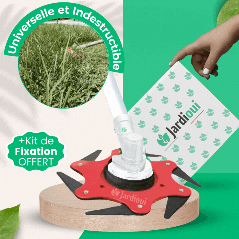 Tête de Coupe Universelle Indestructible