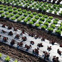 Tissu de Barrière de Paysage Perforé Robuste