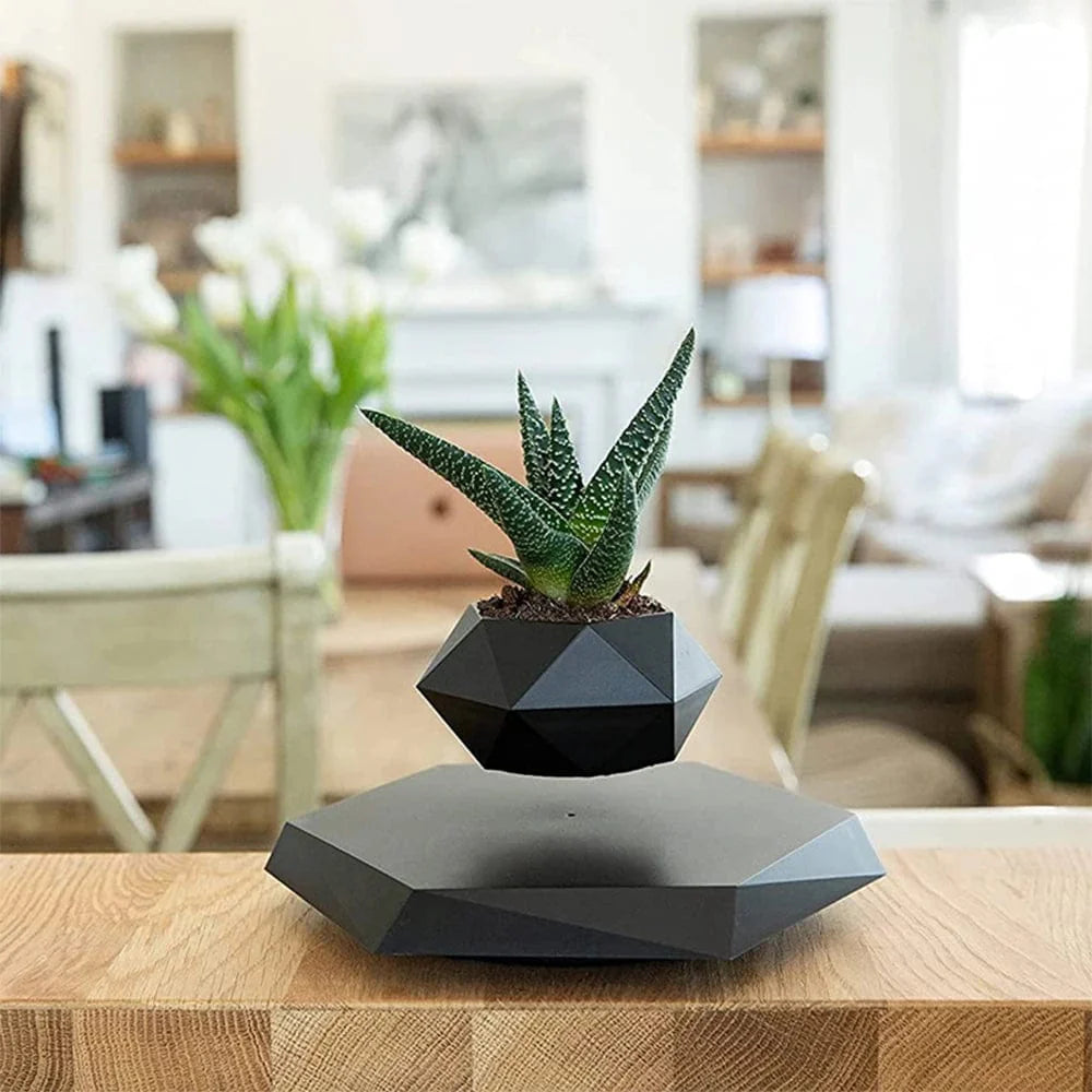 Vase Flottant Magique Original et Innovant