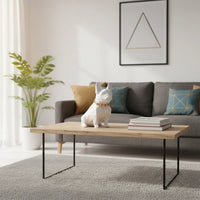 Tirelire Bouledogue