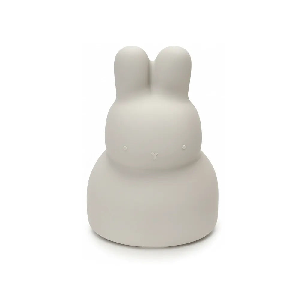 Tirelire Silicone