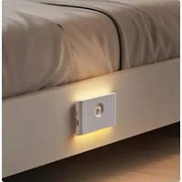 Lampes LED Connectées Portables (Pack de 2) - Santeova